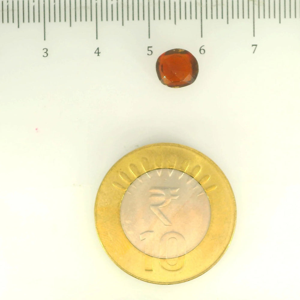 ITLGR_104160_SCALE.webp
