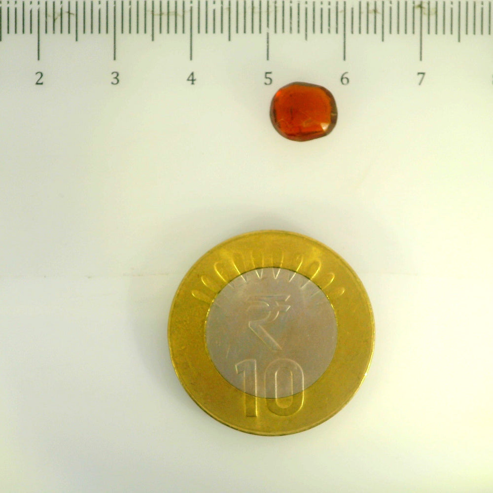 ITLGR_104162_SCALE.webp