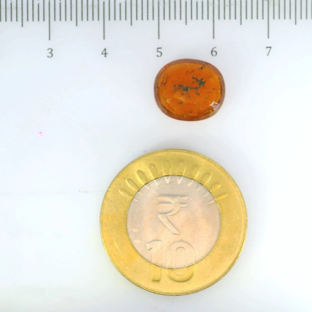 ITLGR_104165_SCALE.webp