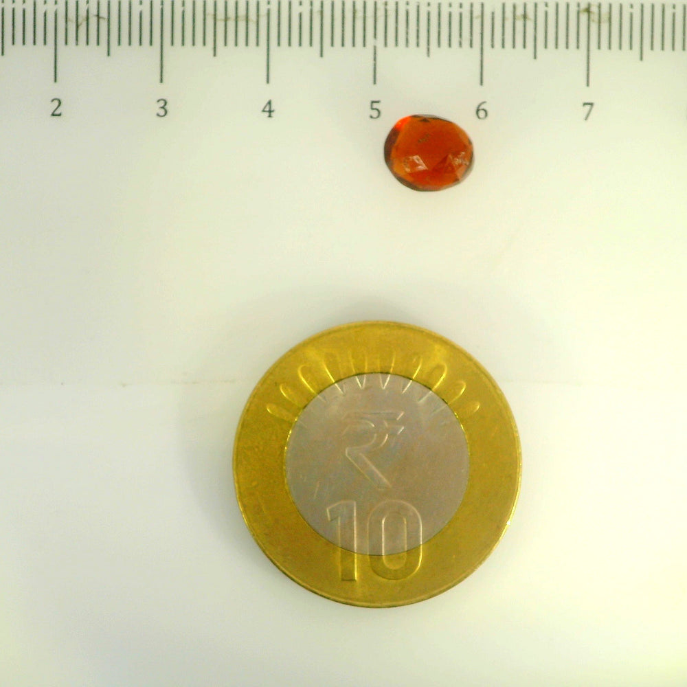 ITLGR_104167_SCALE.webp
