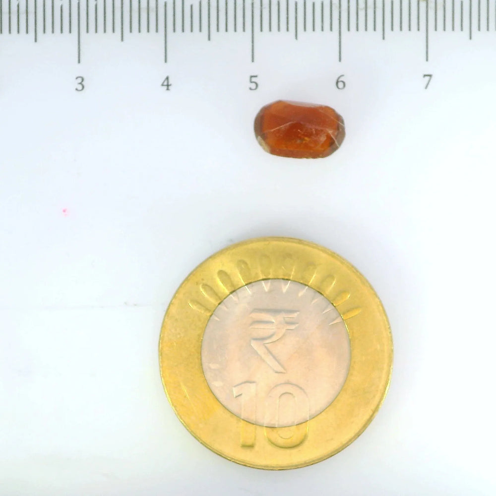 ITLGR_104170_SCALE.webp