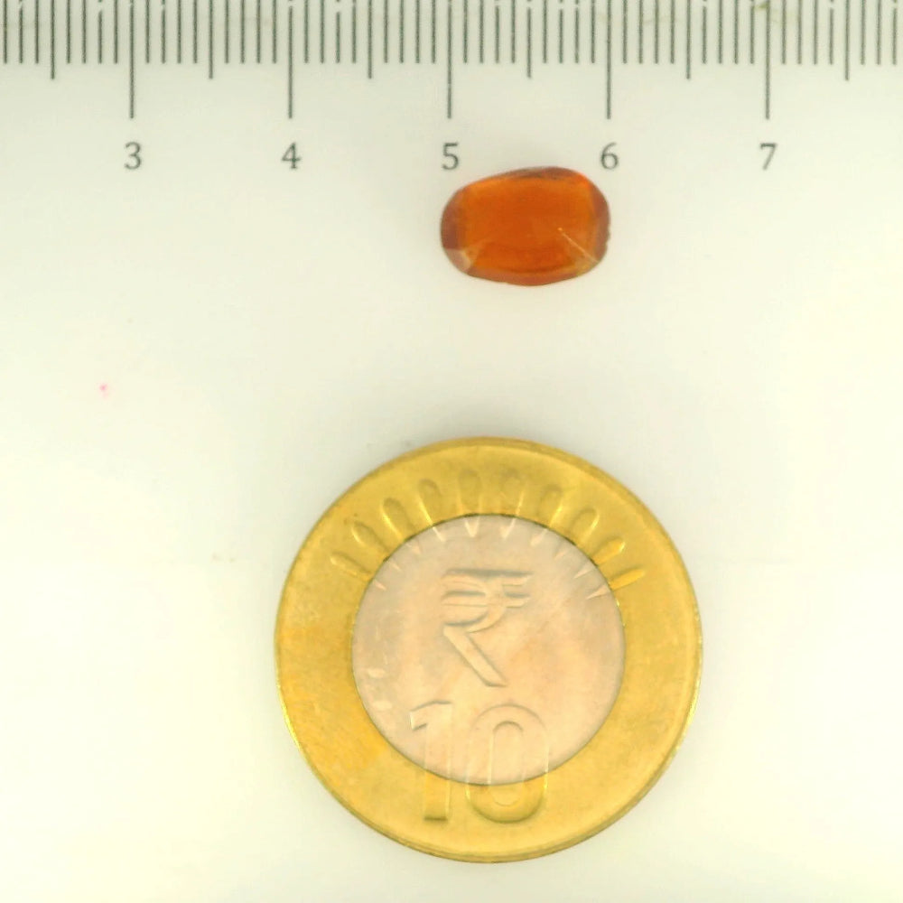 ITLGR_104173_SCALE.webp