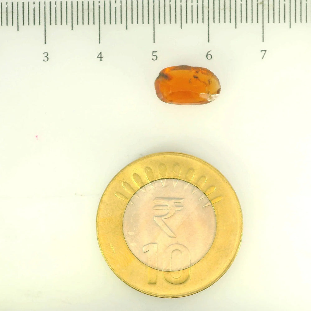 ITLGR_104177_SCALE.webp