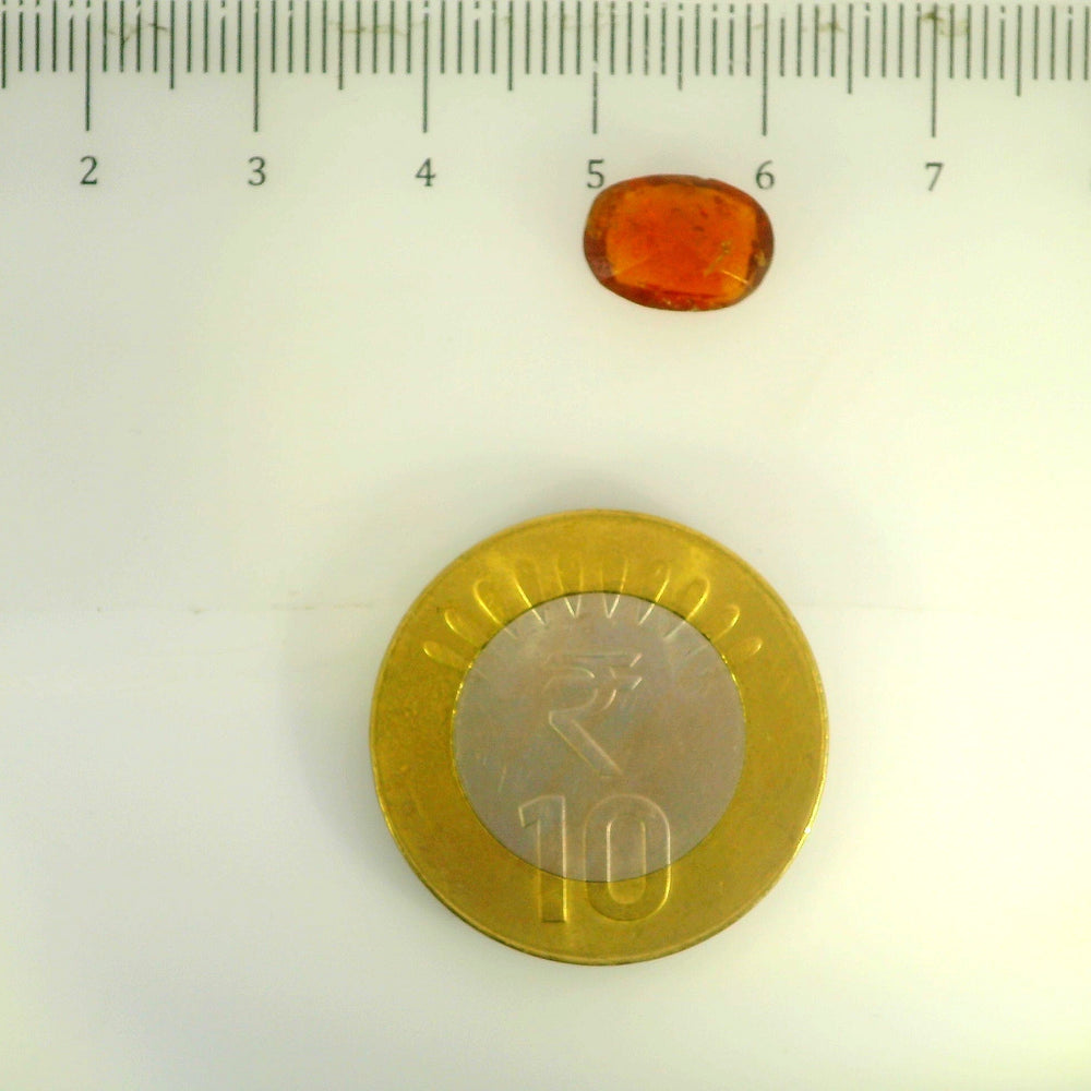 ITLGR_104184_SCALE.webp