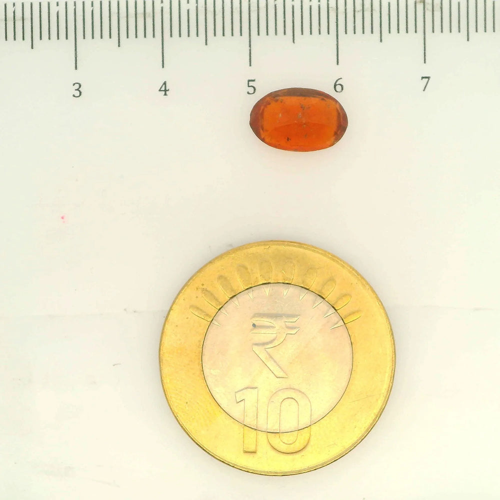 ITLGR_104188_SCALE.webp