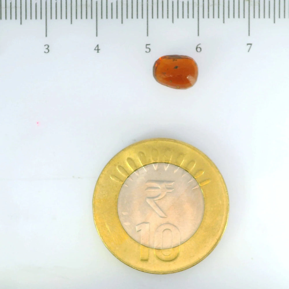 ITLGR_104192_SCALE.webp