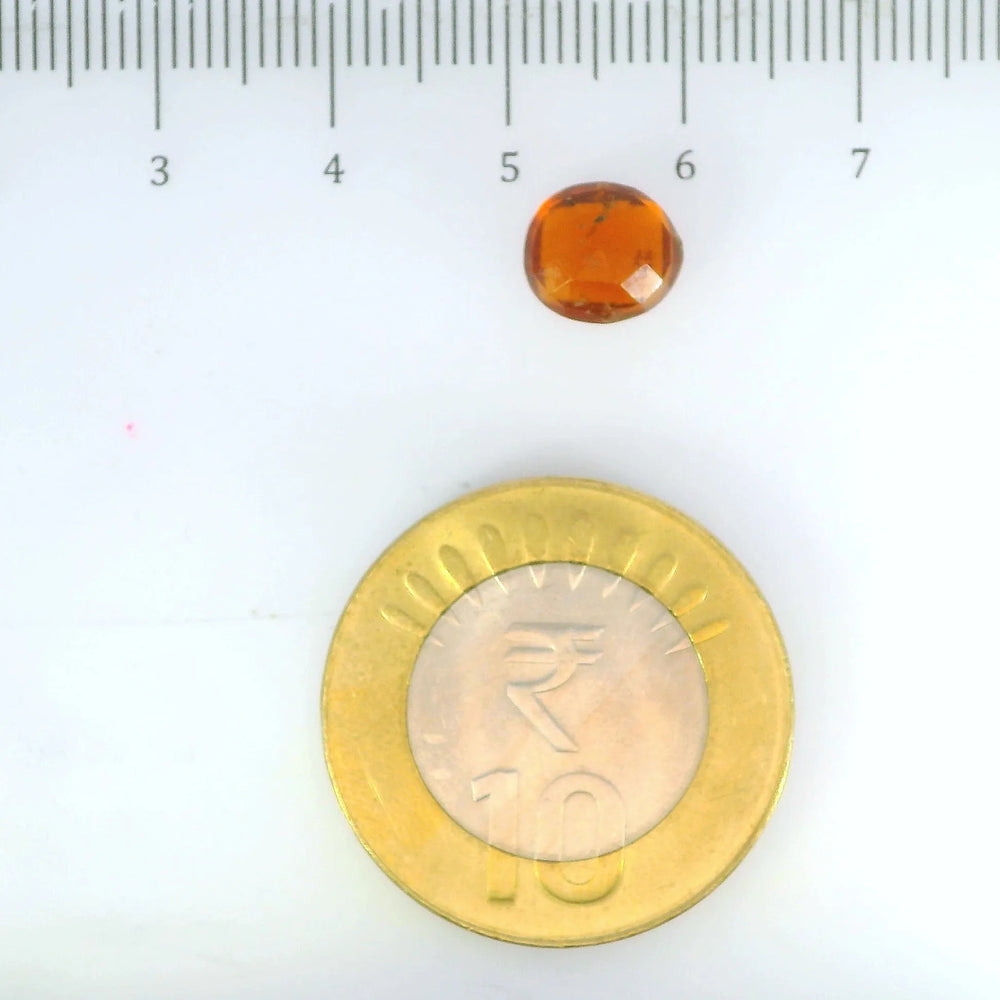 ITLGR_104193_SCALE.webp