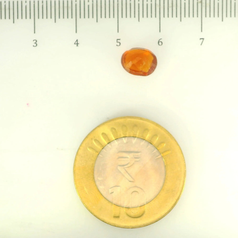 ITLGR_104197_SCALE.webp
