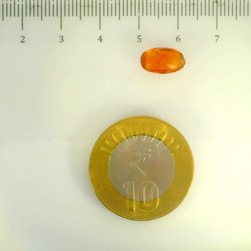 ITLGR_104202_SCALE.webp