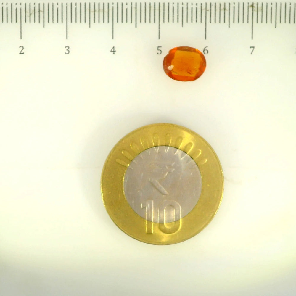 ITLGR_104204_SCALE.webp