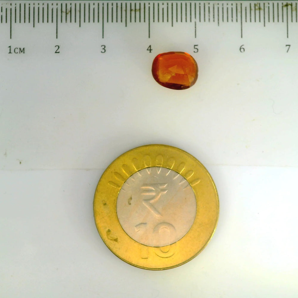 ITLGR_104207_SCALE.webp