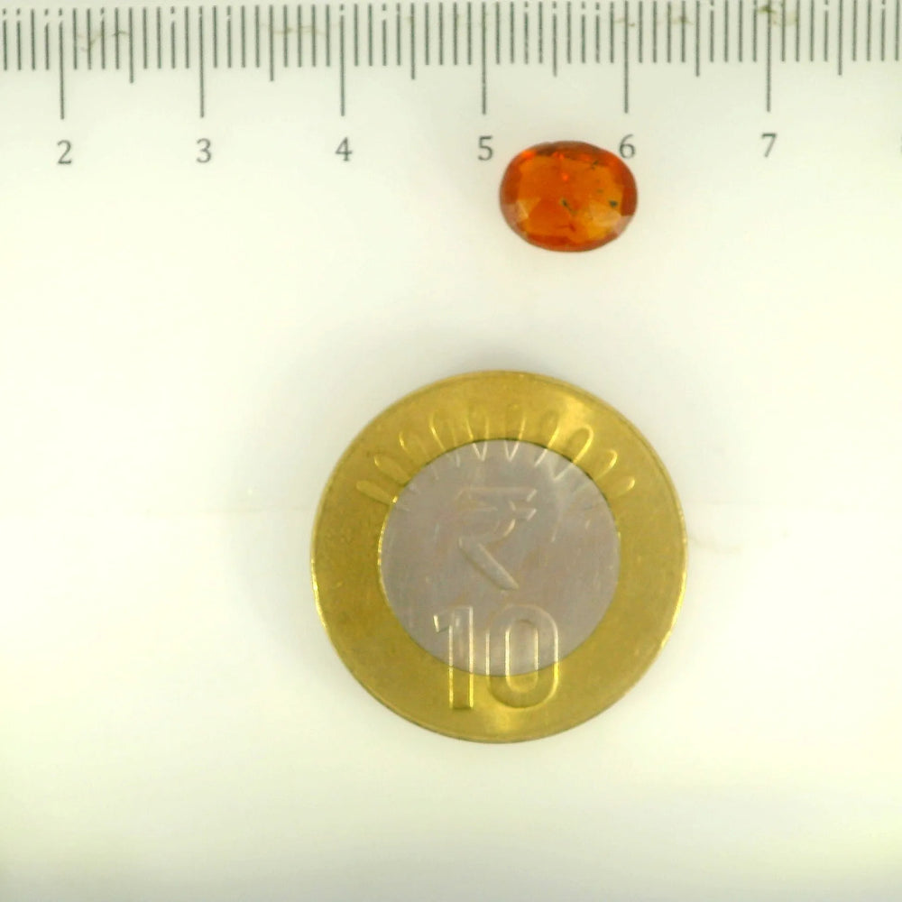 ITLGR_104208_SCALE.webp
