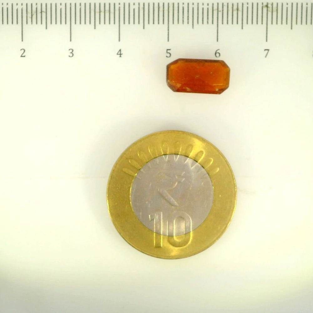 ITLGR_104215_SCALE.webp
