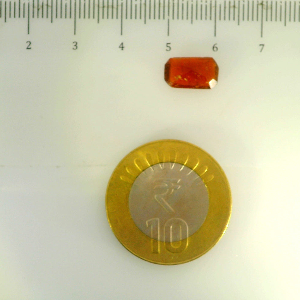 ITLGR_104240_SCALE.webp