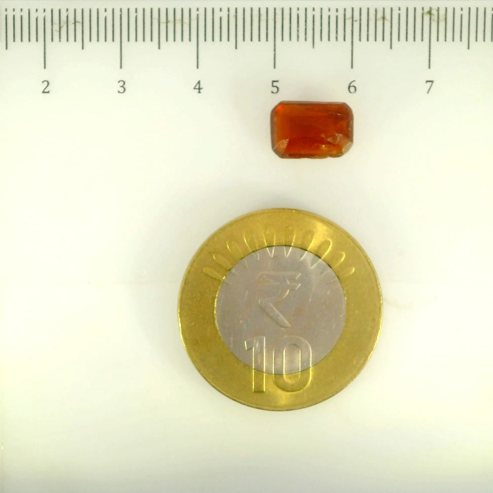 ITLGR_104241_SCALE.webp