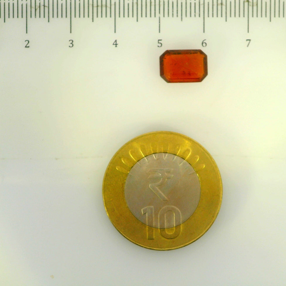 ITLGR_104243_SCALE.webp