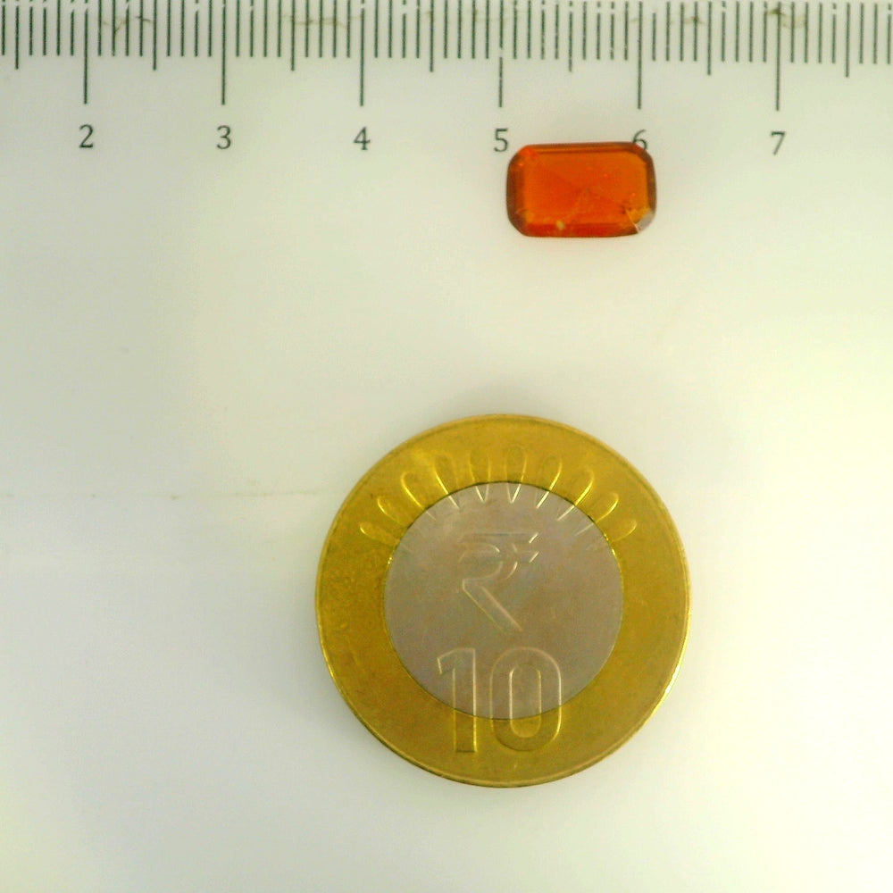 ITLGR_104244_SCALE.webp