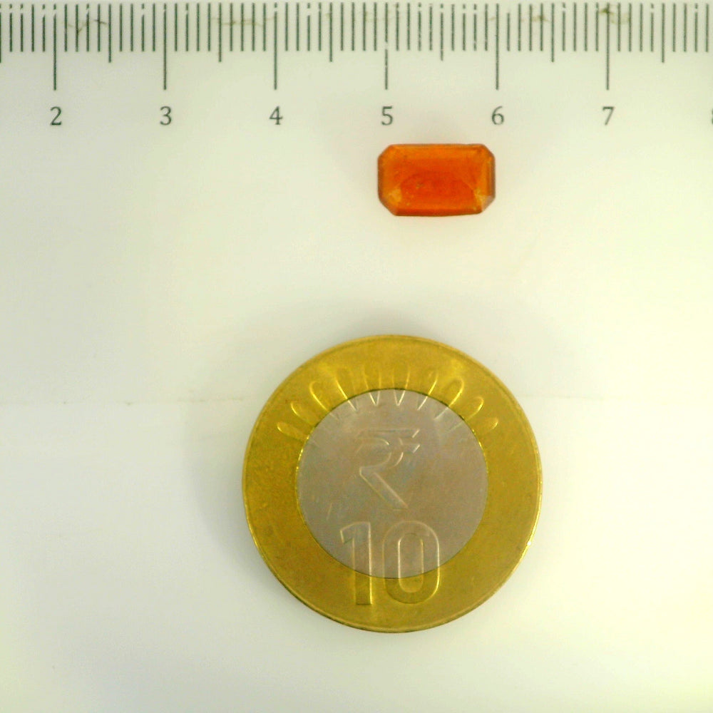 ITLGR_104248_SCALE.webp