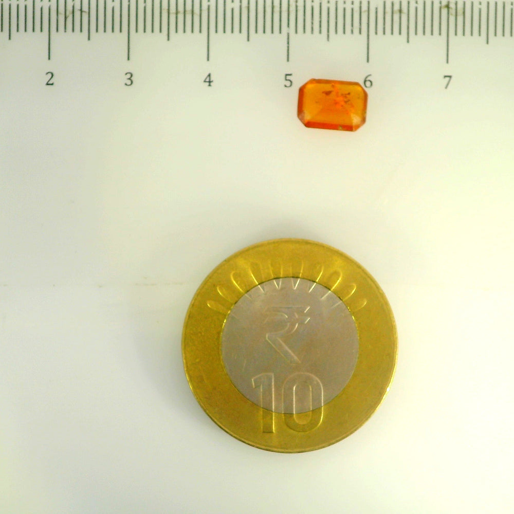 ITLGR_104253_SCALE.webp