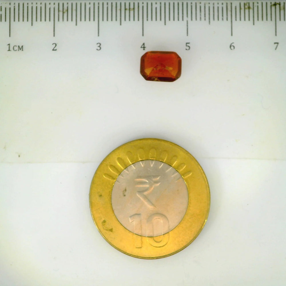 ITLGR_104262_SCALE.webp