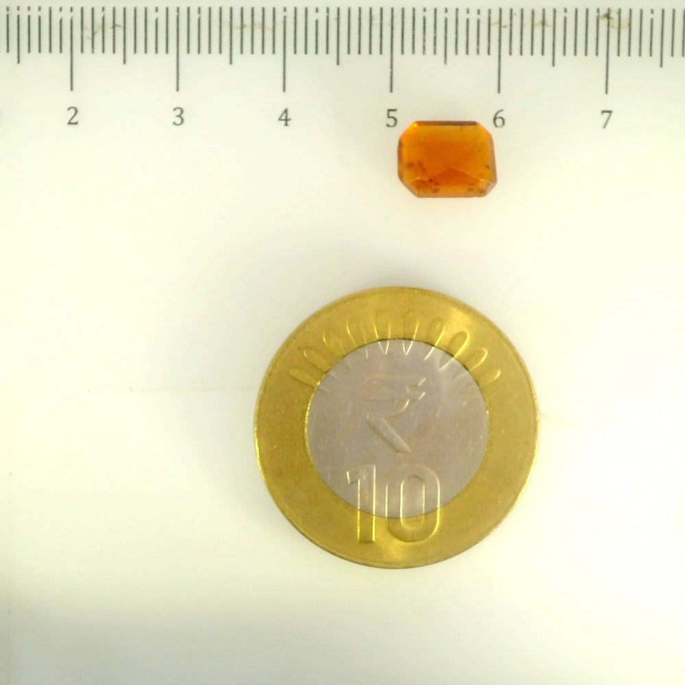 ITLGR_104267_SCALE.webp