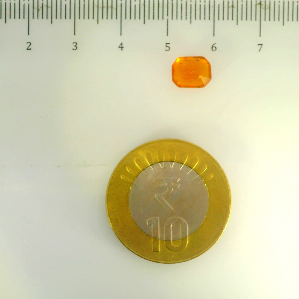 ITLGR_104268_SCALE.webp