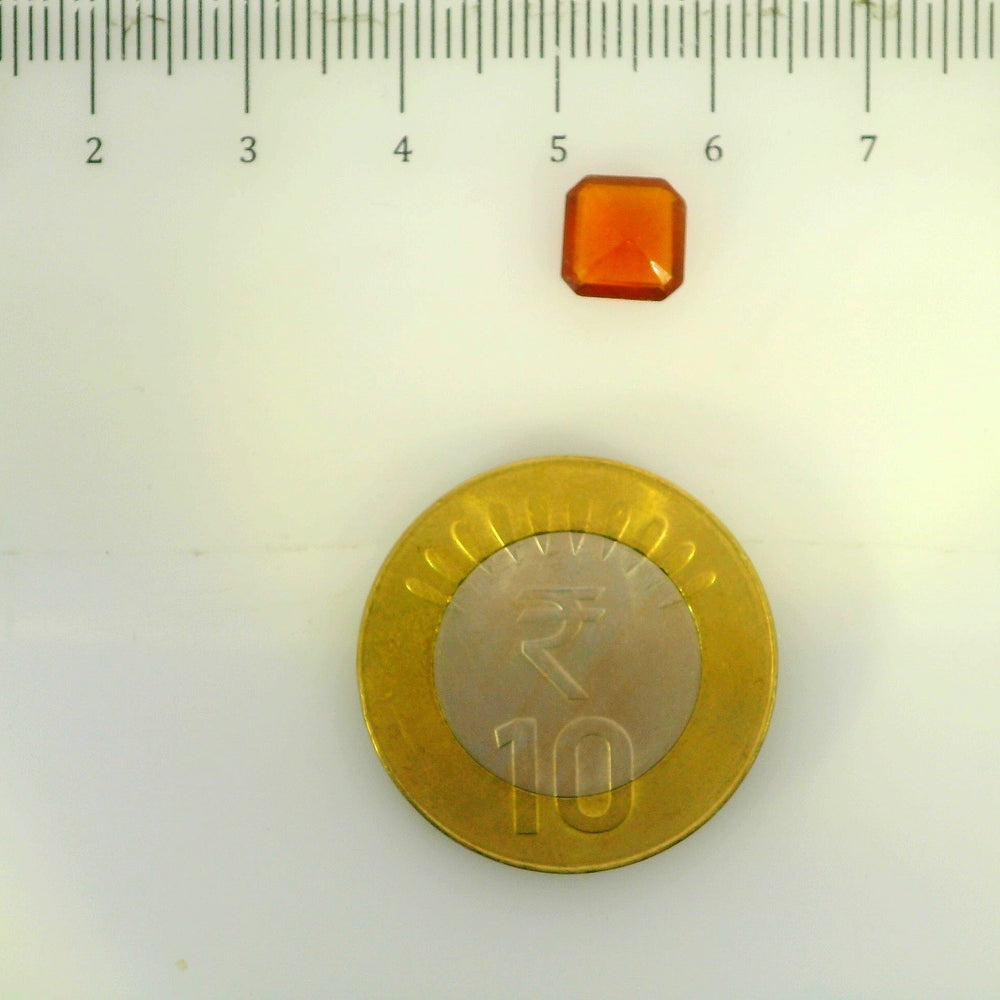 ITLGR_104271_SCALE.webp