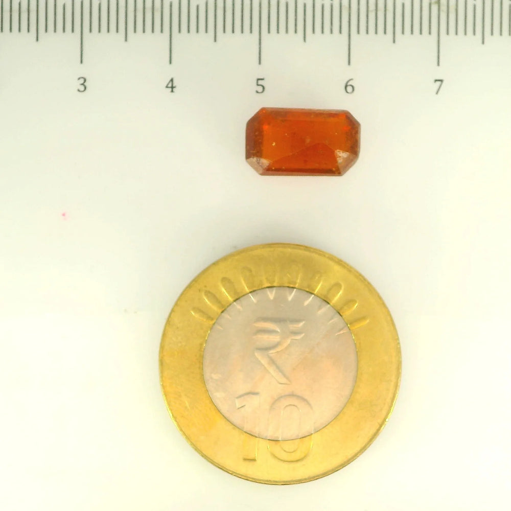 ITLGR_104290_SCALE.webp