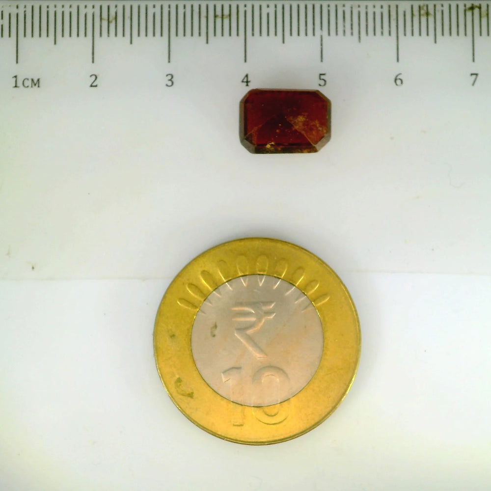 ITLGR_104297_SCALE.webp