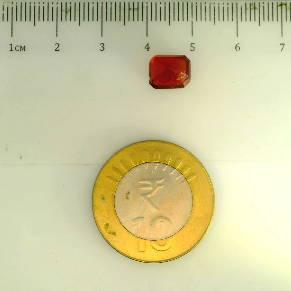 ITLGR_104298_SCALE.webp