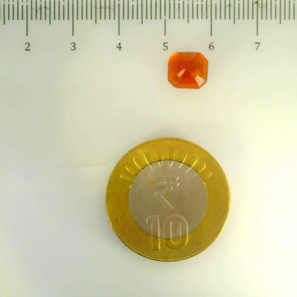 ITLGR_104301_SCALE.webp