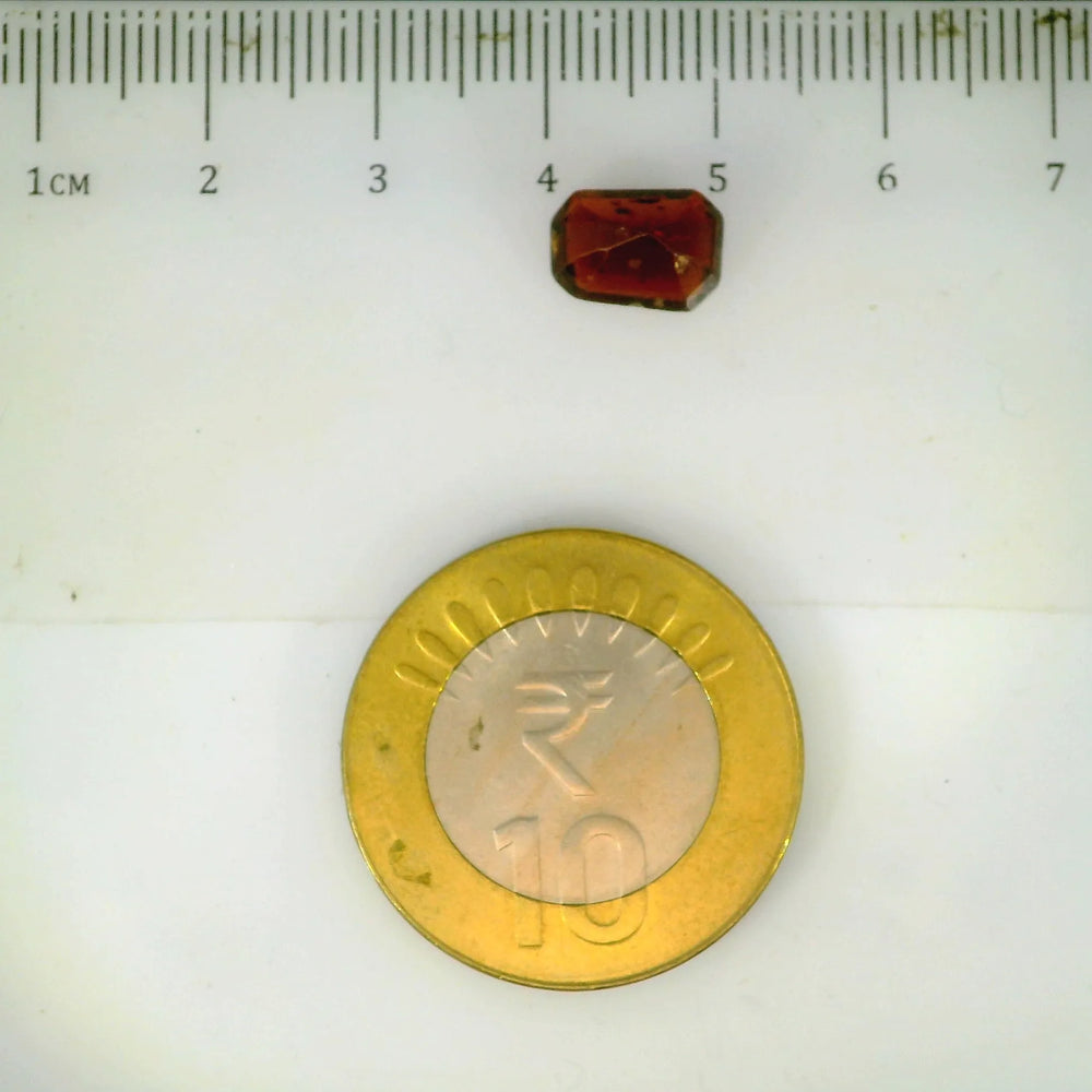 ITLGR_104302_SCALE.webp