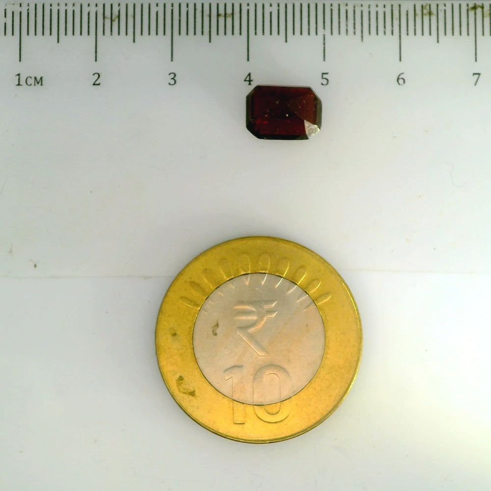 ITLGR_104304_SCALE.webp