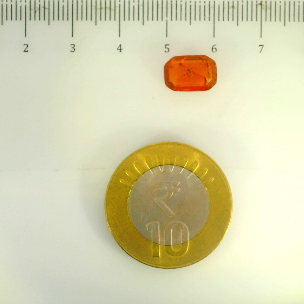 ITLGR_104307_SCALE.webp