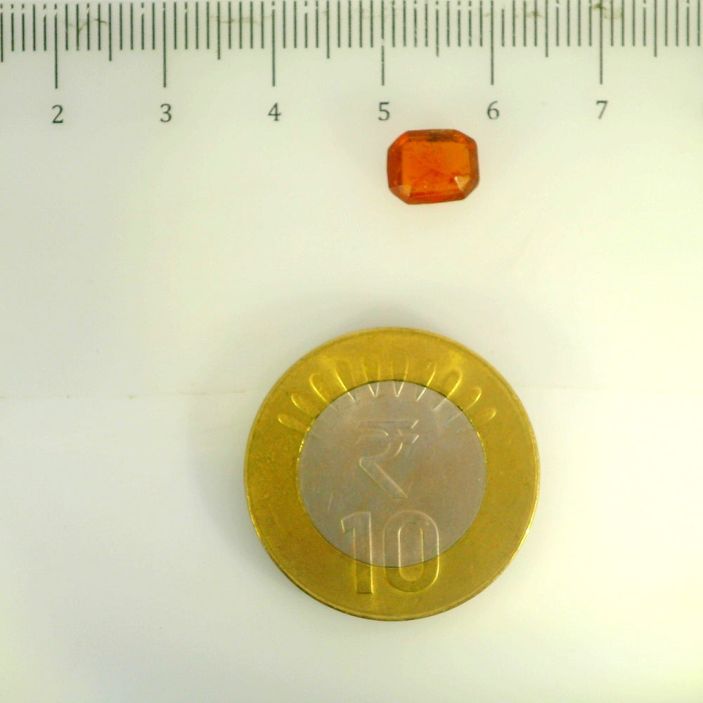 ITLGR_104313_SCALE.webp