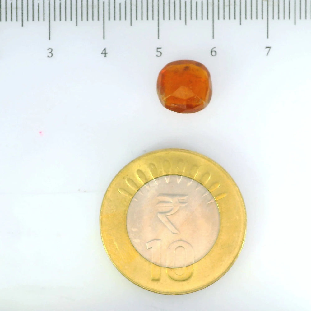 ITLGR_104319_SCALE.webp