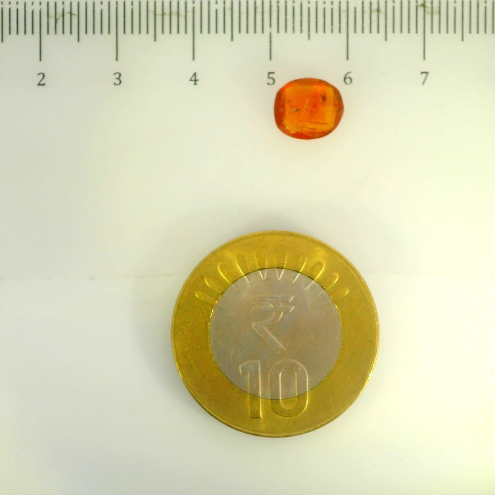 ITLGR_104321_SCALE.webp