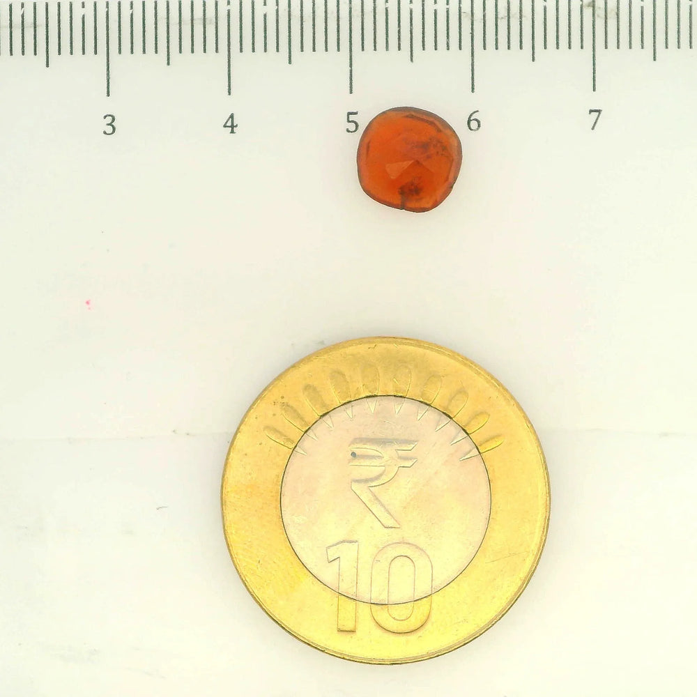 ITLGR_104326_SCALE.webp