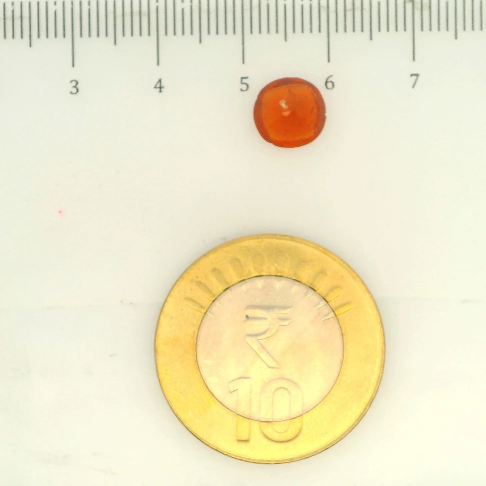 ITLGR_104328_SCALE.webp