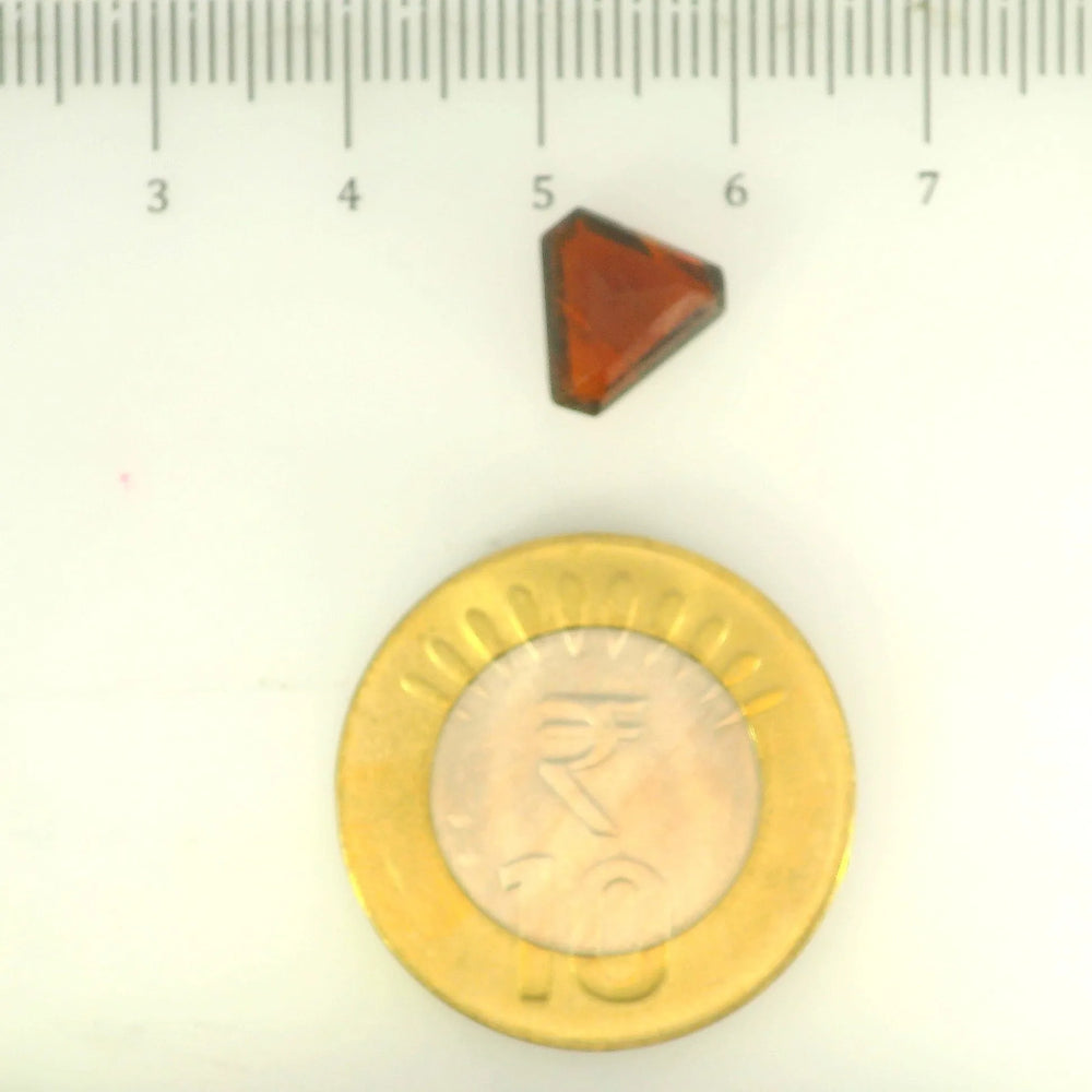ITLGR_104334_SCALE.webp
