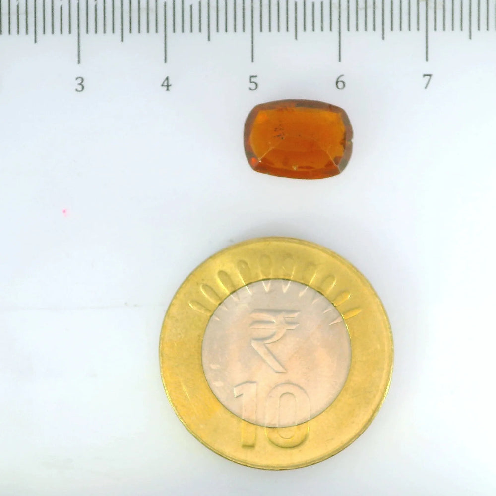 ITLGR_104346_SCALE.webp