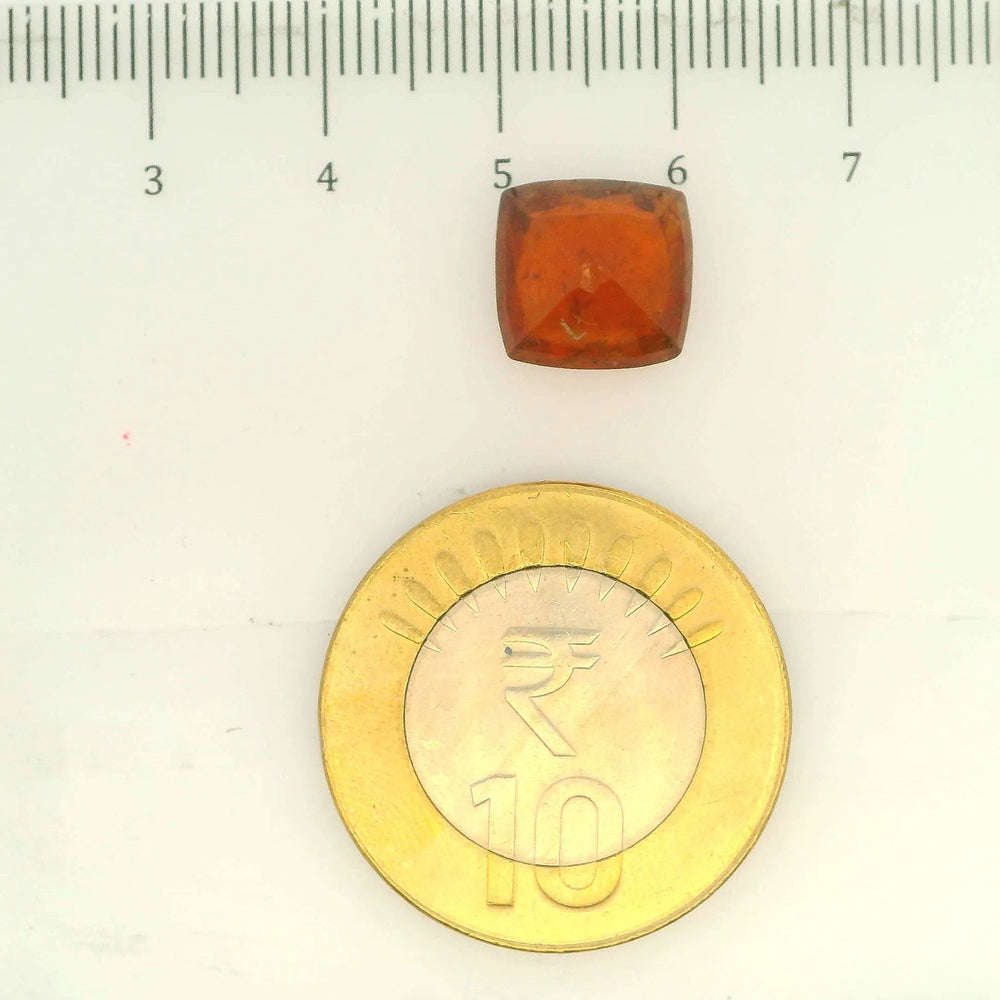 ITLGR_104350_SCALE.webp