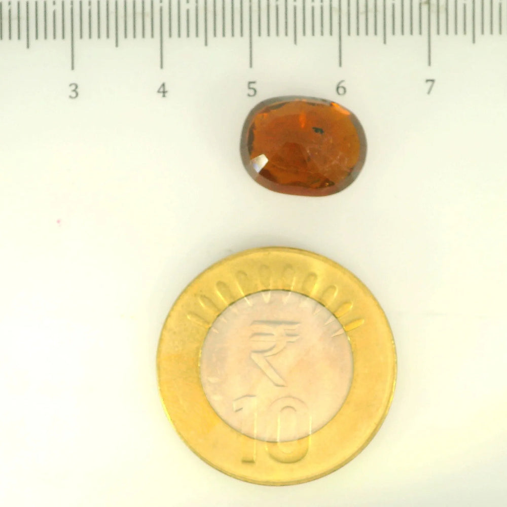 ITLGR_104356_SCALE.webp
