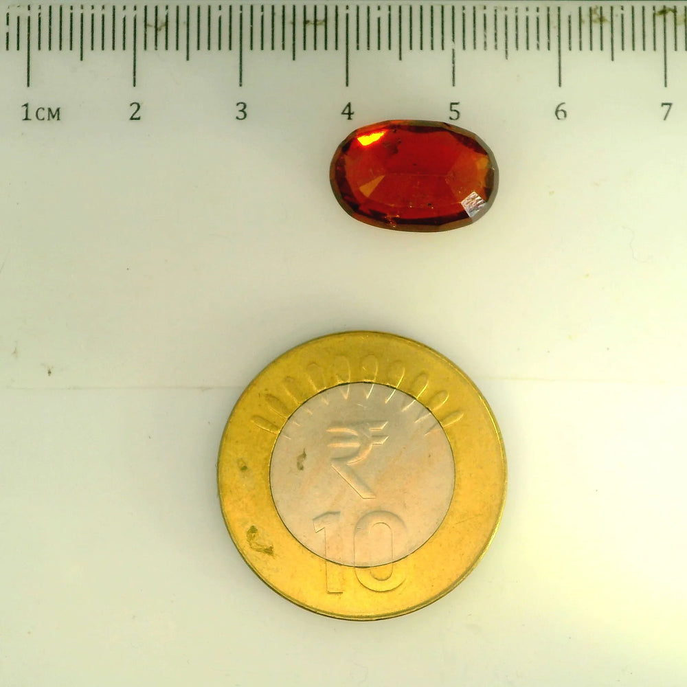 ITLGR_104381_SCALE.webp