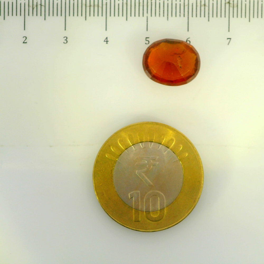 ITLGR_104384_SCALE.webp