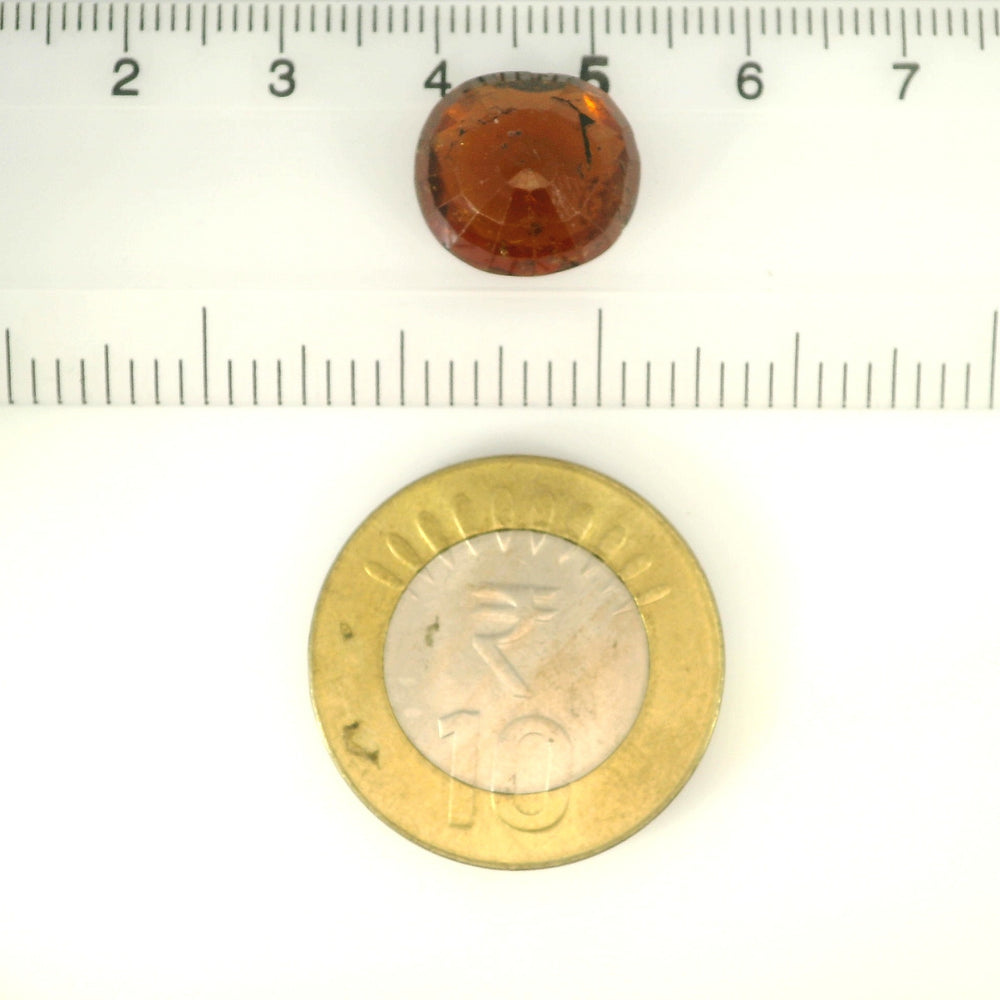 ITLGR_104385_SCALE.webp