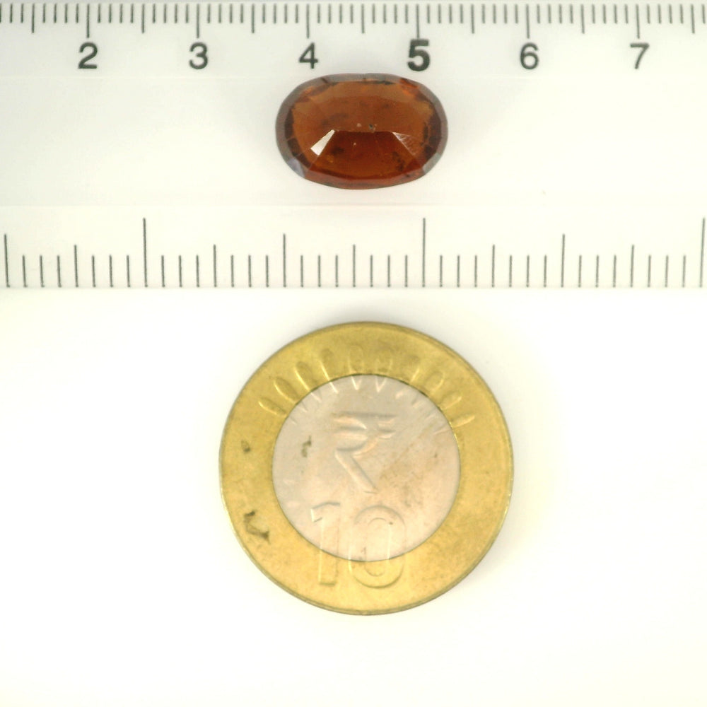 ITLGR_104389_SCALE.webp