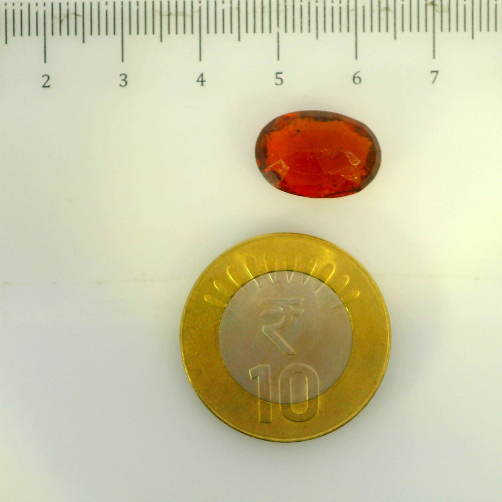 ITLGR_104391_SCALE.webp