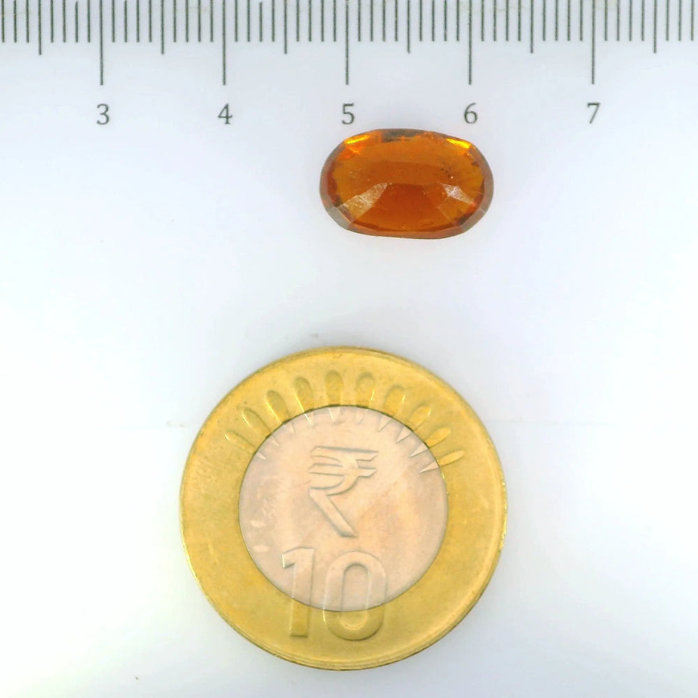 ITLGR_104396_SCALE.webp