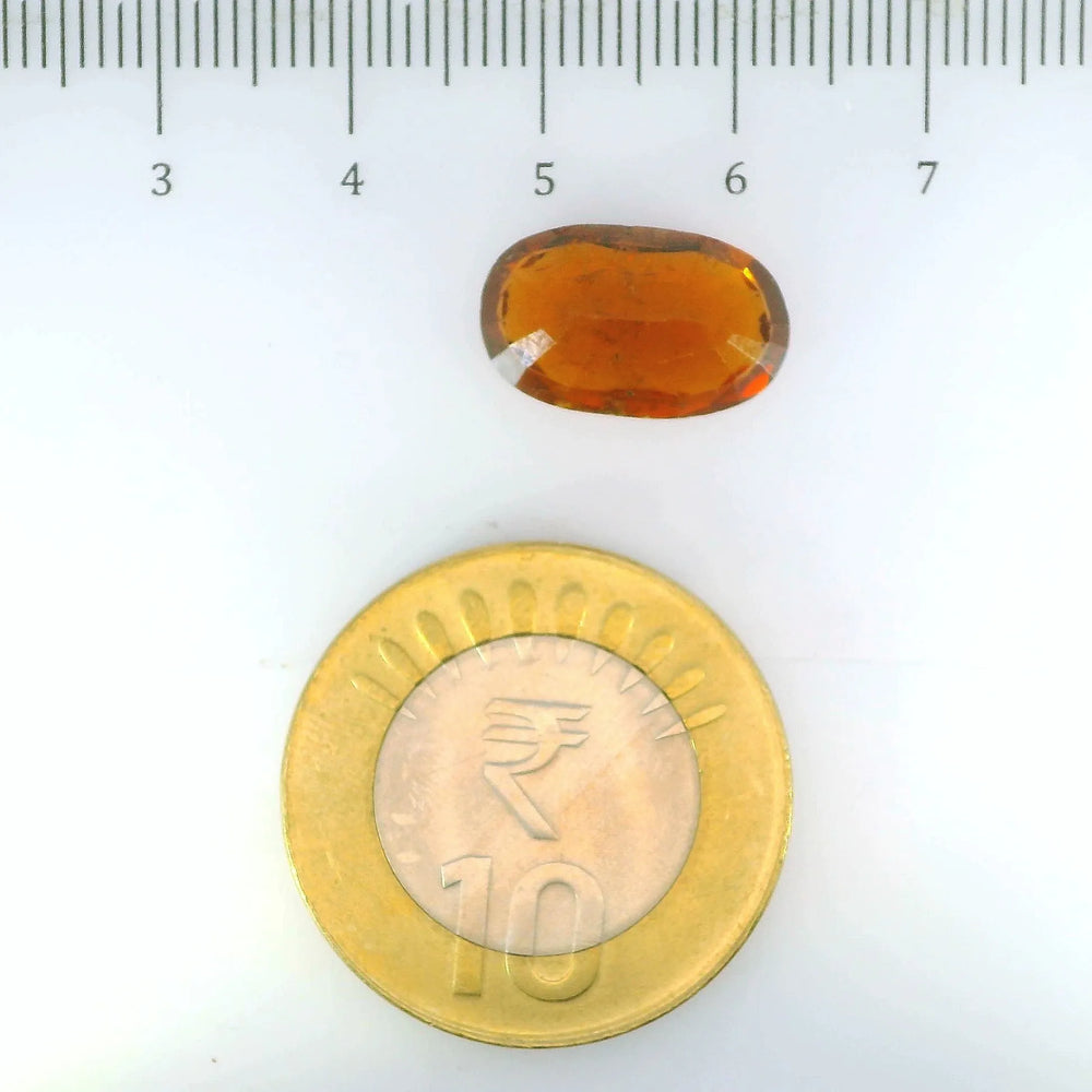 ITLGR_104398_SCALE.webp